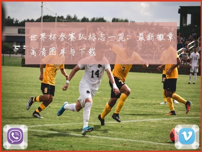 世界杯参赛队标志一览：最新徽章高清图库与下载
