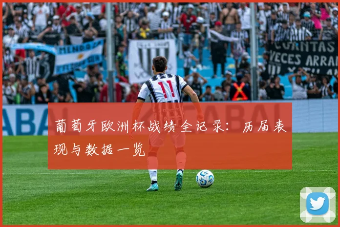 葡萄牙欧洲杯战绩全记录:历届表现与数据一览